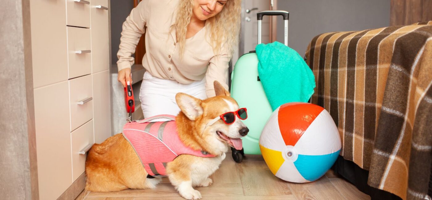How Dog Hotels Promotes Happiness
