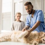 What Is Veterinary Cardiology?