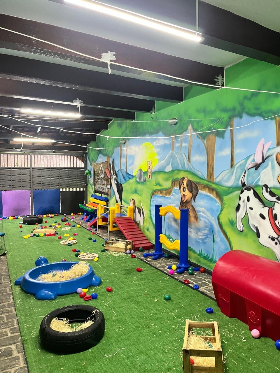 Imagem do WhatsApp de 2025-04-09 à(s) 16.32.37_809012f3