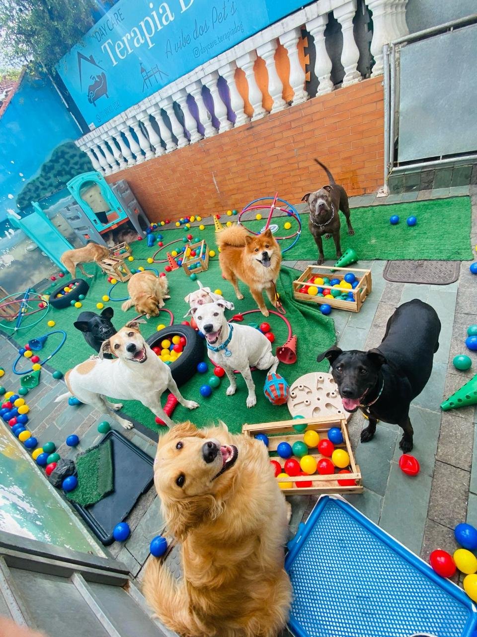 Imagem do WhatsApp de 2025-04-09 à(s) 16.34.57_198b043c