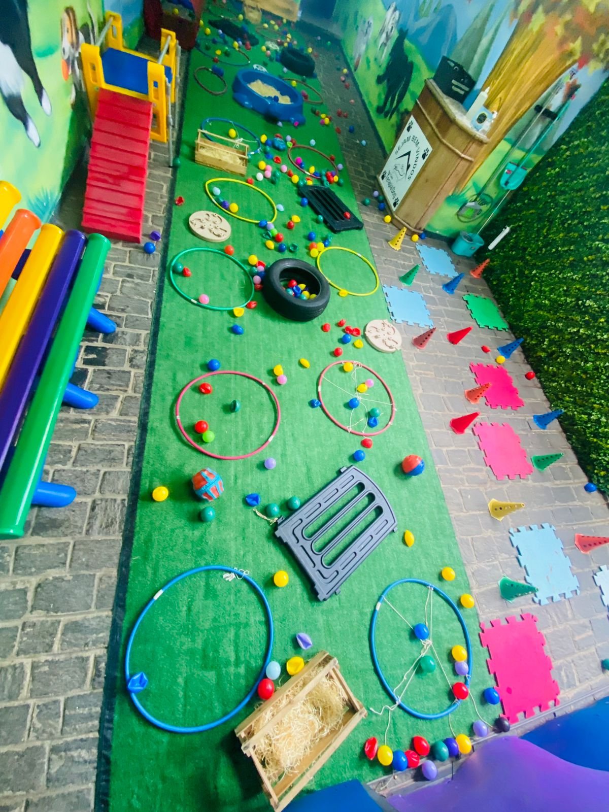 Imagem do WhatsApp de 2025-04-09 à(s) 16.36.17_d05183ae