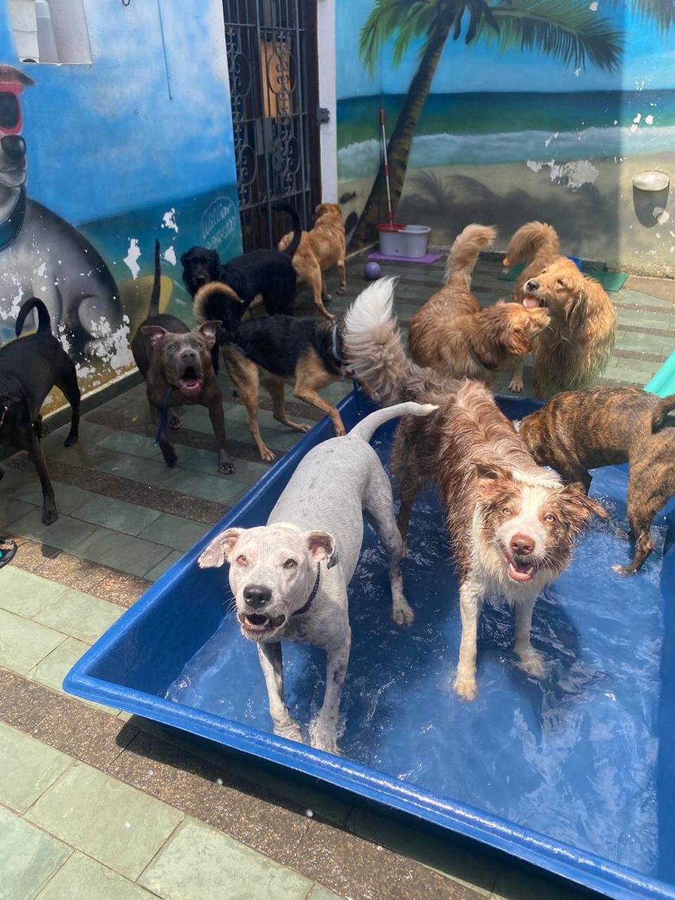 Imagem do WhatsApp de 2025-04-09 à(s) 16.47.09_f103a32d