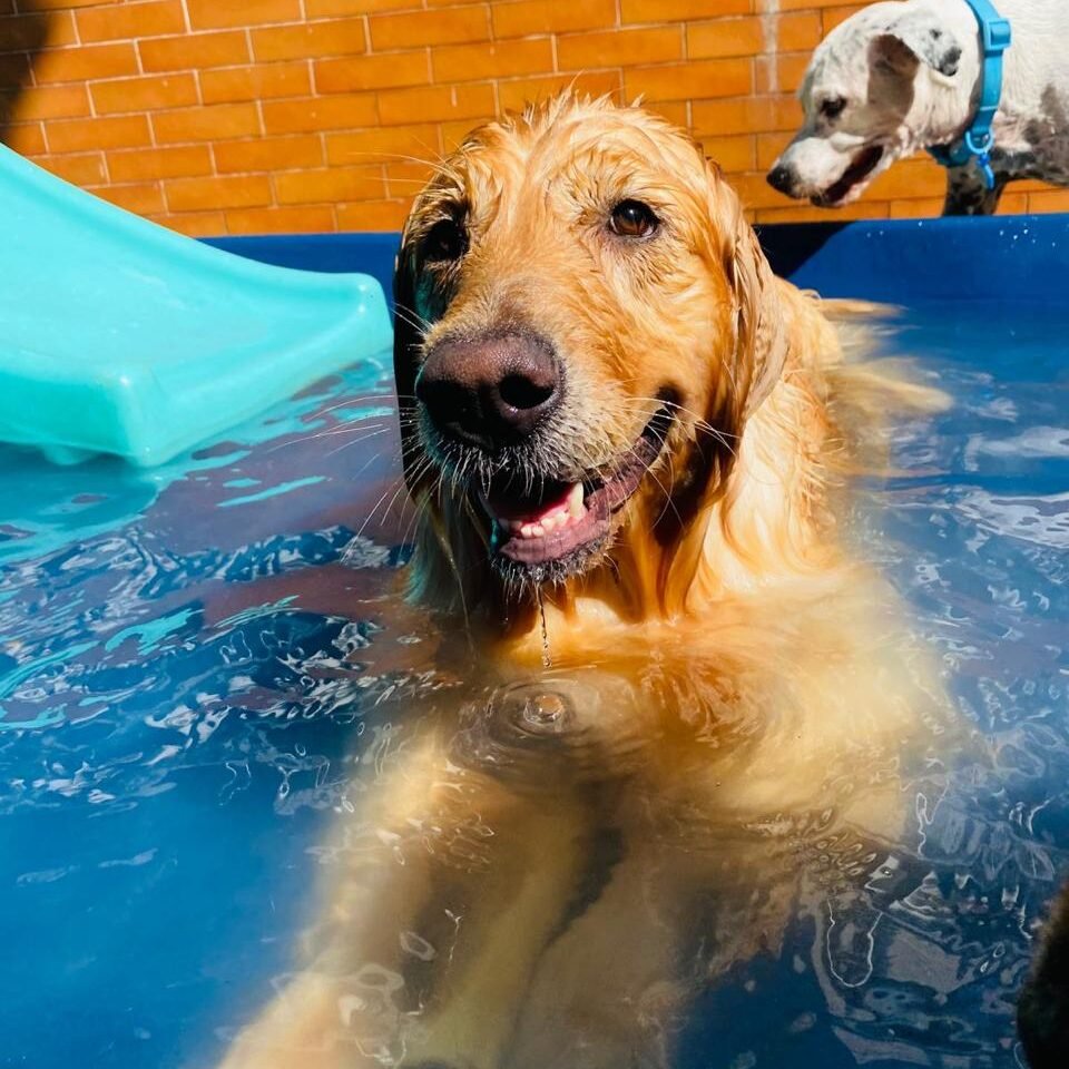 Imagem do WhatsApp de 2025-04-09 à(s) 16.47.12_dca12f0e