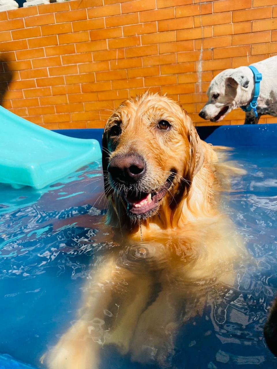 Imagem do WhatsApp de 2025-04-09 à(s) 16.47.12_dca12f0e