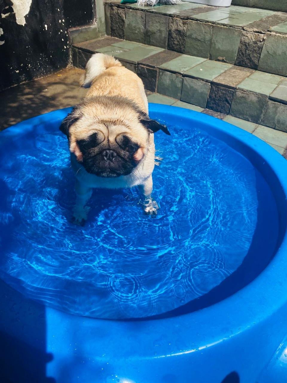 Imagem do WhatsApp de 2025-04-09 à(s) 16.47.13_78749705