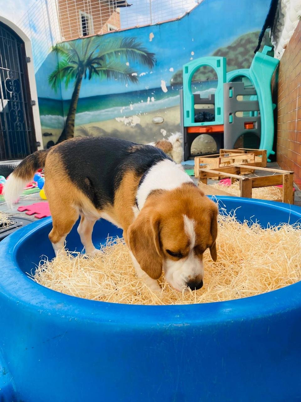 Imagem do WhatsApp de 2025-04-09 à(s) 16.47.13_b2619072