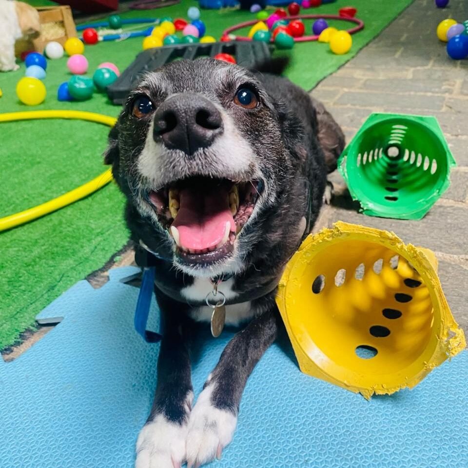 Imagem do WhatsApp de 2025-04-09 à(s) 16.47.14_709220bb