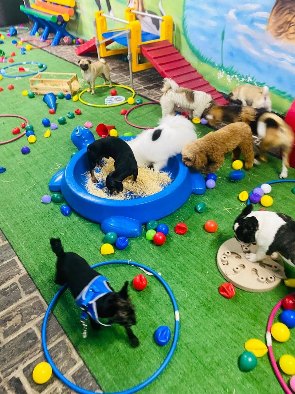 Imagem do WhatsApp de 2025-04-09 à(s) 16.47.14_a33fc16b