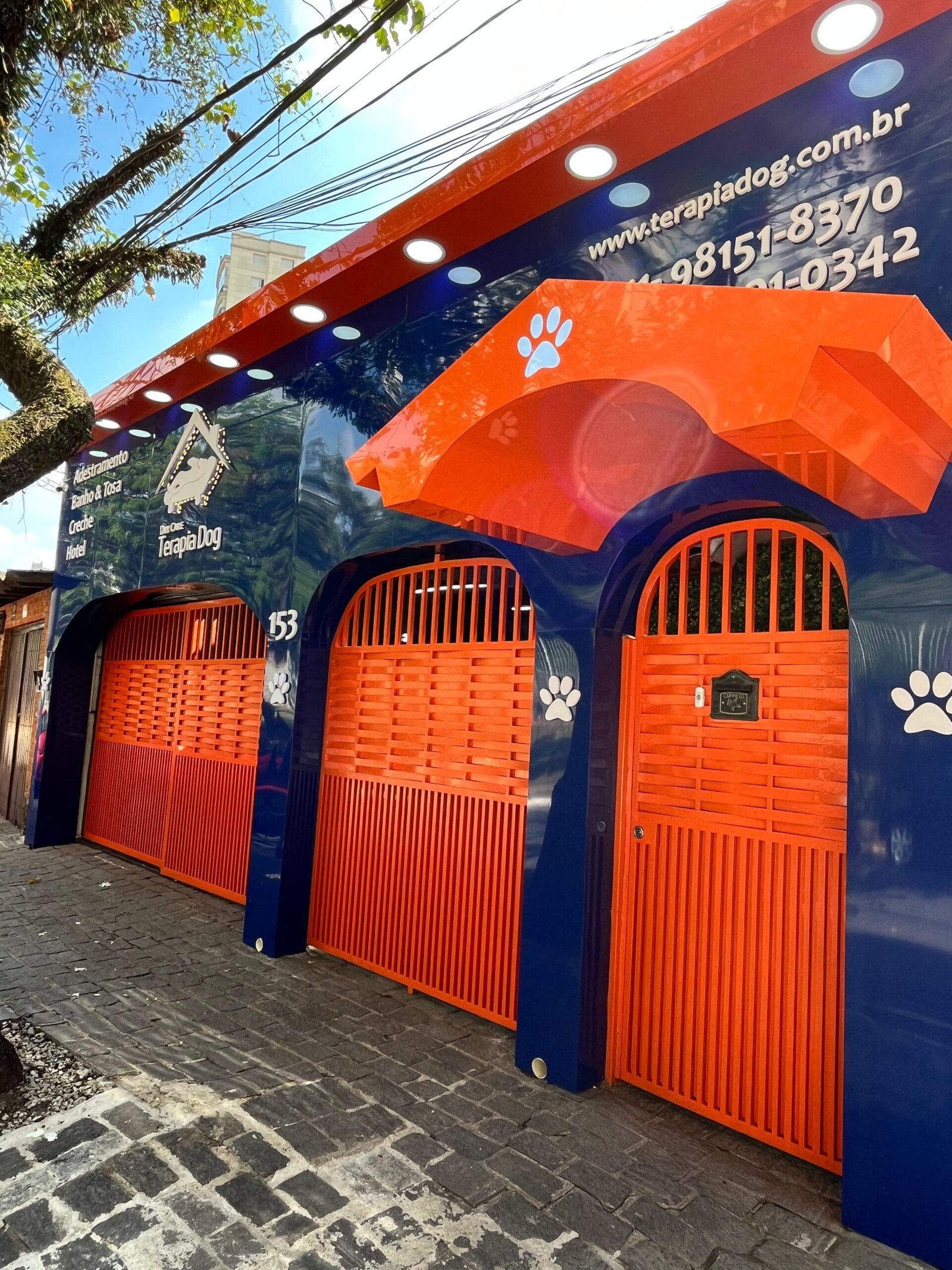 Imagem do WhatsApp de 2025-05-09 à(s) 11.47.09_e0d139cb